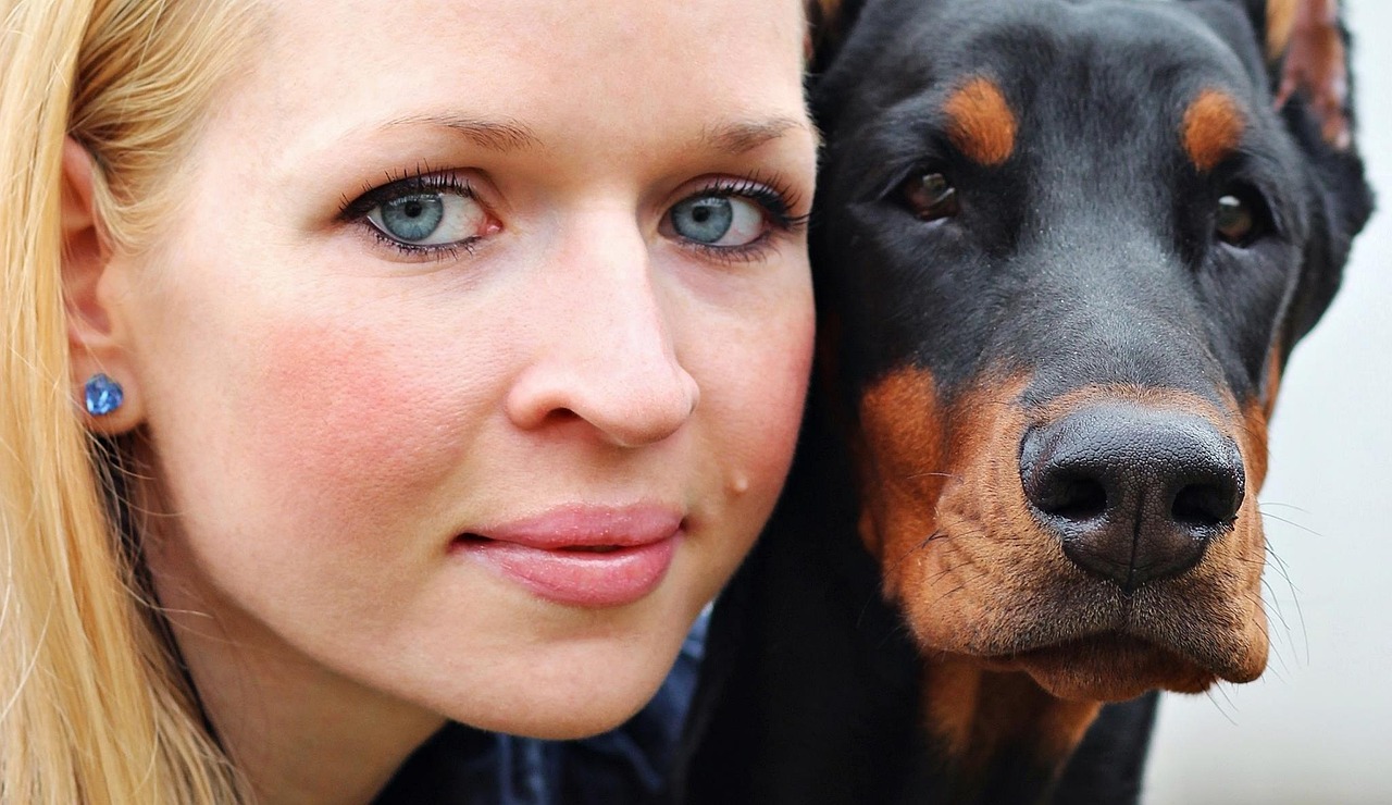 A Guide to Understanding the Doberman Pinscher